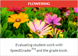 Evaluating student work with SpeedGraderTM and the grade book.