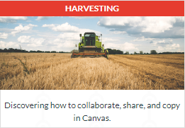 Discovering how to collaborate, share, and copy in Canvas.