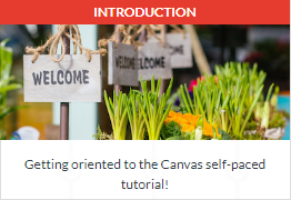 Getting oriented to the Canvas self-paced tutorial!