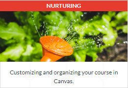 Customizing and organizing your course in Canvas.