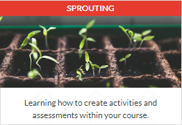 Learning how to create activities and assessments within your course.